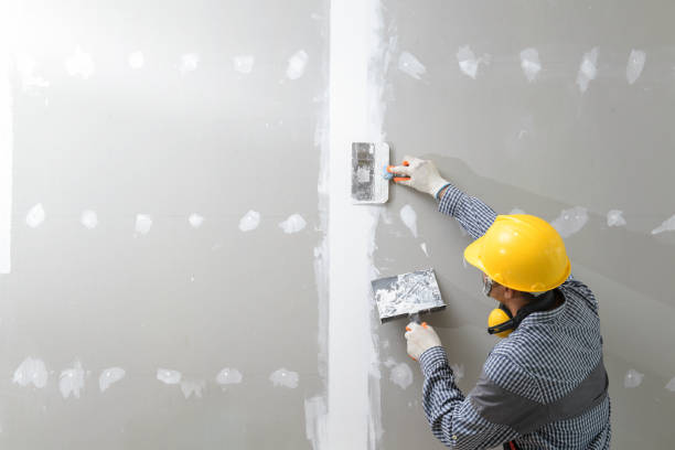 Professional Painting & Drywall Installation in Penngrove, CA